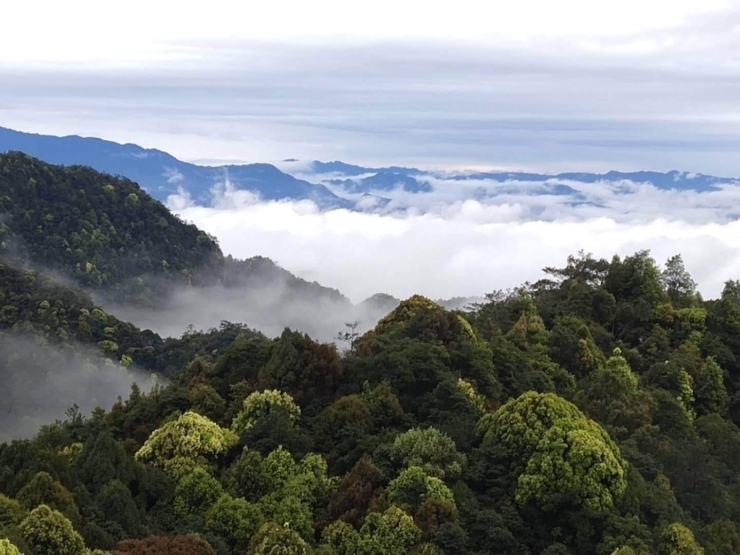 1000多米的高山看云海